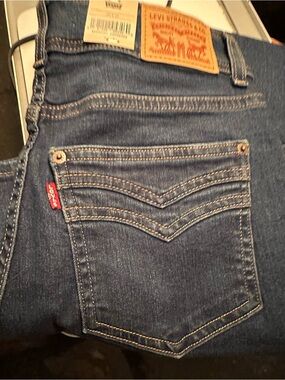Levi's Blue Denim Jeans - Classic Fit